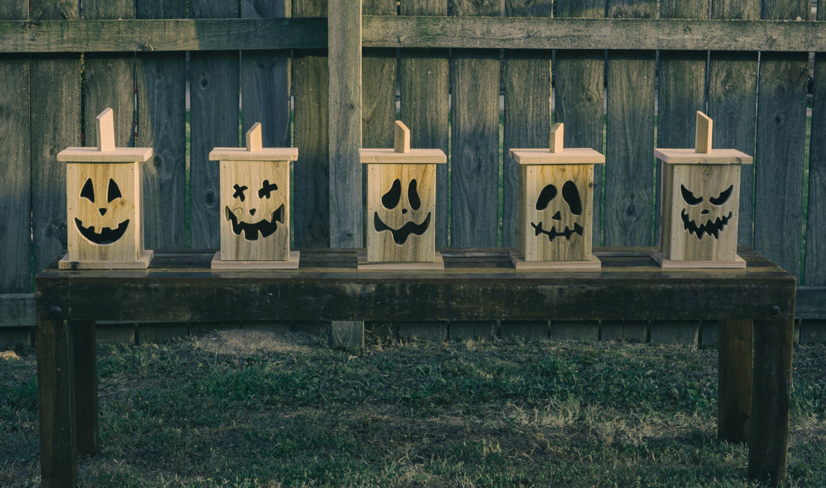 Cedar Jack O' Lantern
